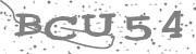 Type the letters in the image or Type the first letter of the words spoken in the audio.