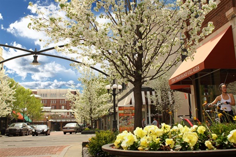 Downtown Oak Park business district looking south on Marion Street