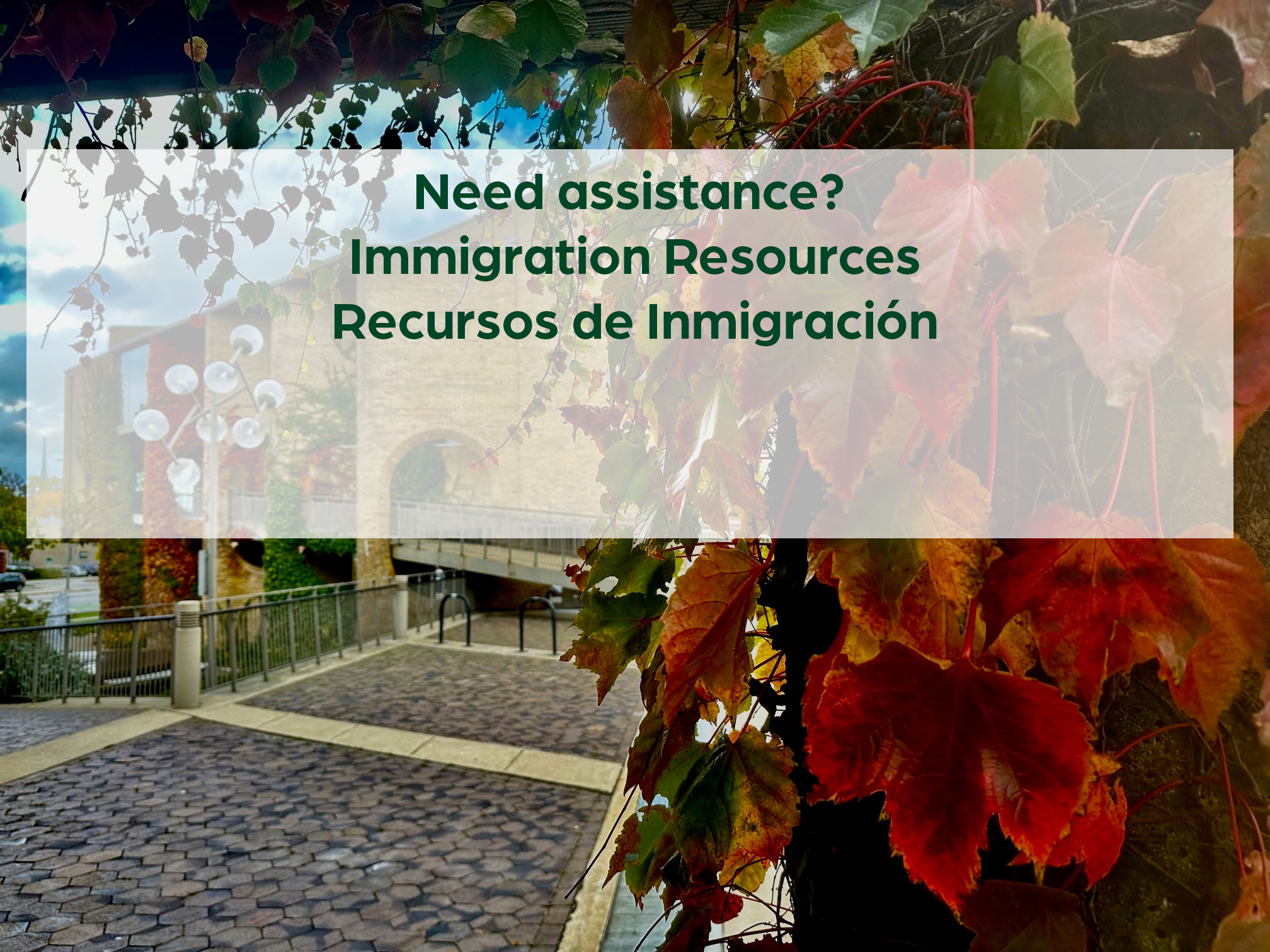 2025-10-30-immigration assistance slider copy.jpg