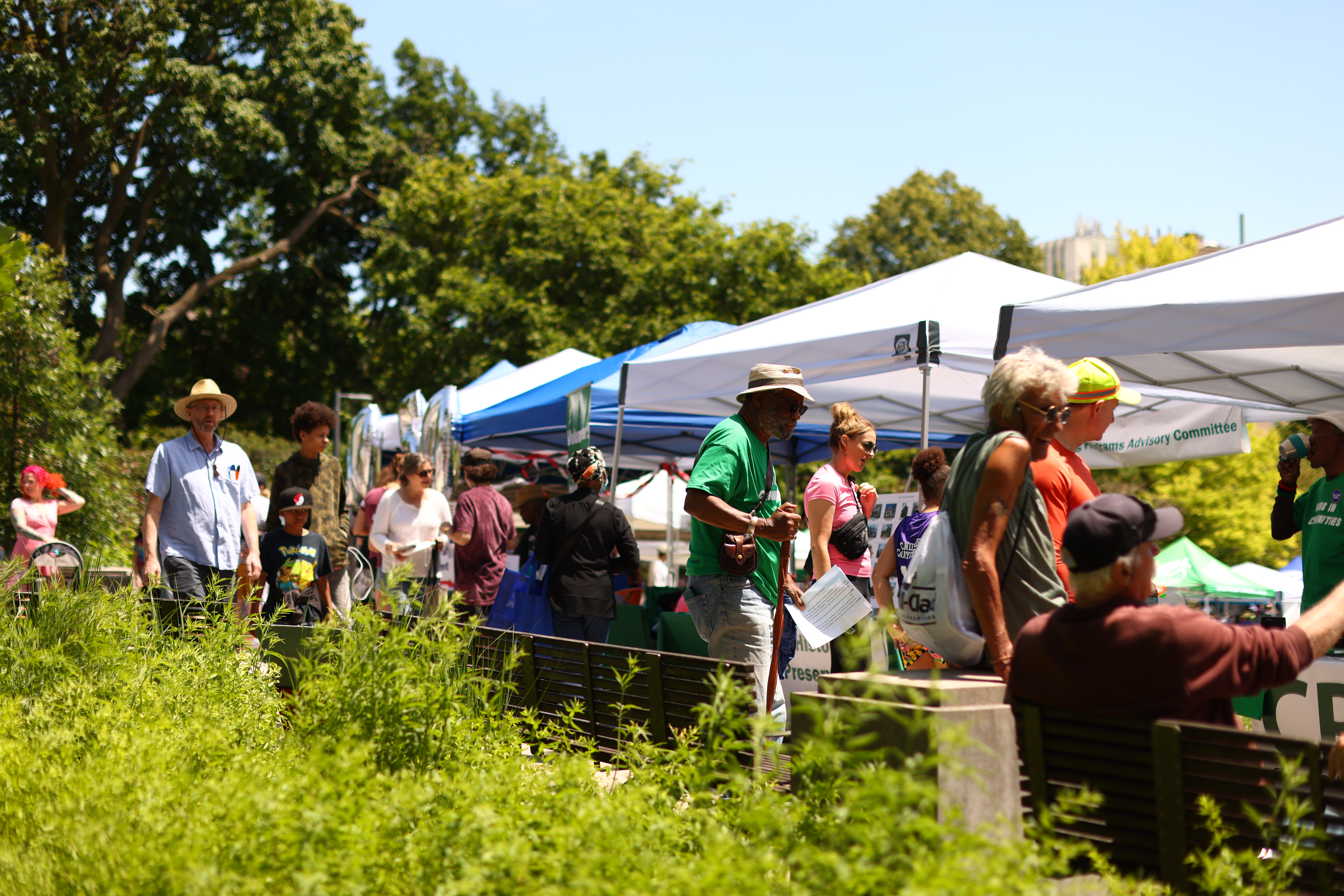 Many people walking and visiting information booths in Scoville Park during A Day in Our Village.