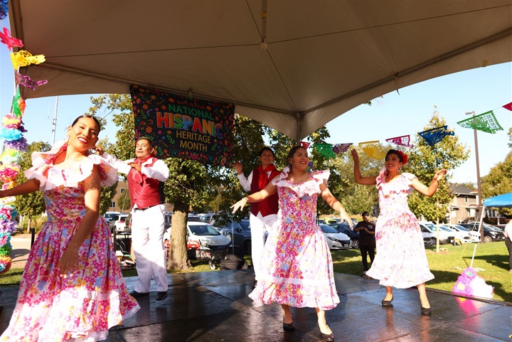 Viva Fest at Village Hall