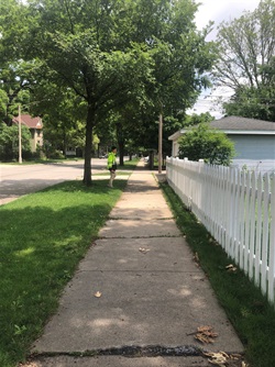 Before Sidewalk.jpg