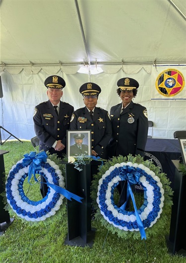 cook-county-memorial