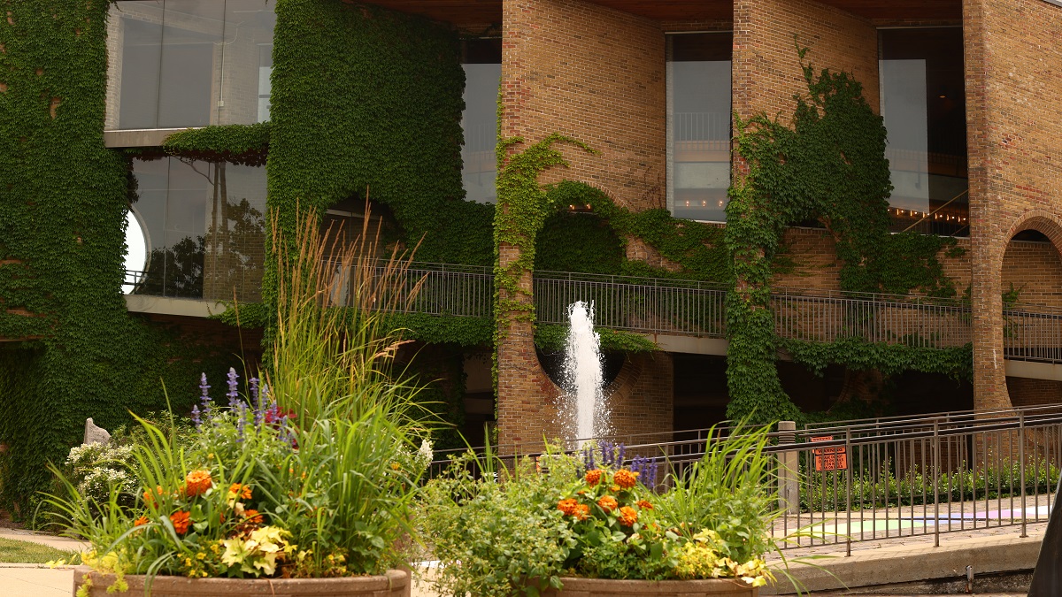 Village Hall in summer