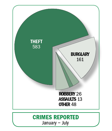 Pie chart illustrating crimes by type