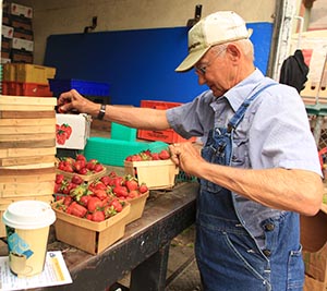 photo of farmer boxing strawberries at the Oak Park Farmers' Market